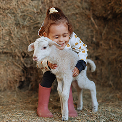 Little Girl Embracing a baby lamb