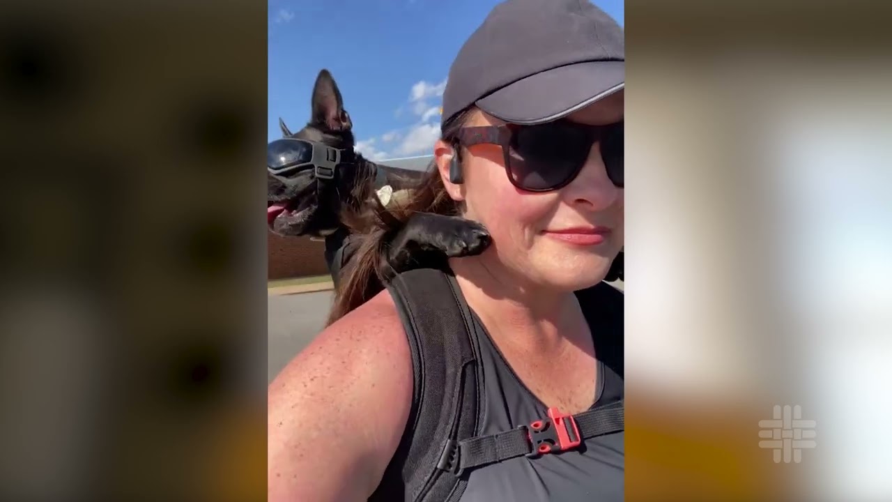 Tara Dilley’s 10K run was a triumphant comeback after being struck by a car