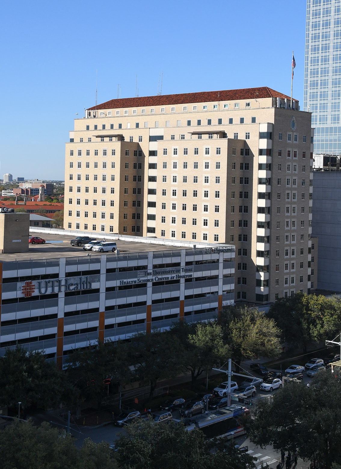 UT Physicians Comprehensive Adult Sickle Cell Center Clinic in Houston, Texas 547